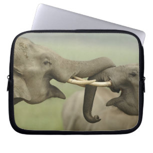 Funda Para Portátil Elefantes asiáticos indios jugando a luchar