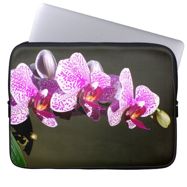 Funda Para Portátil Elegantes orquídeas rosa floral tropical rosa (Frente)