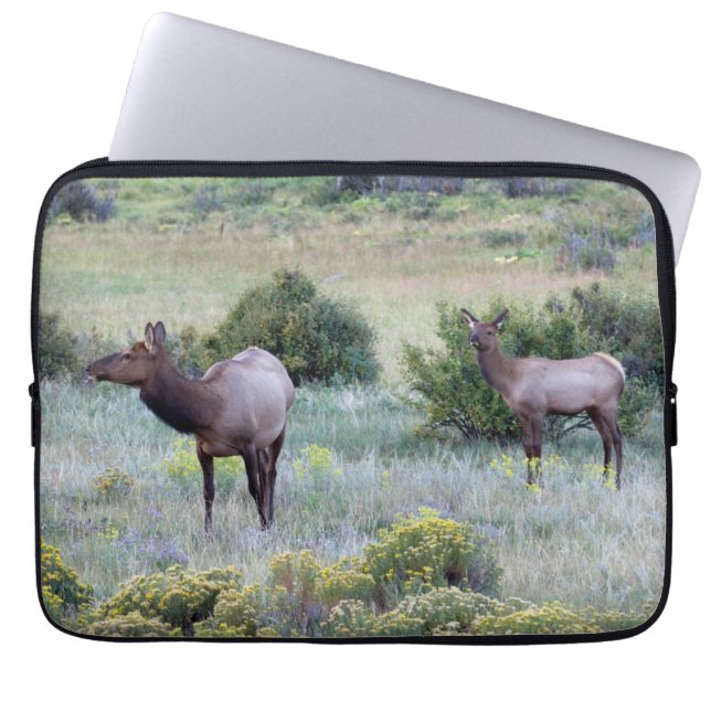 Funda Para Portátil Elk americano | Colorado (Frente)