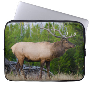 Funda Para Portátil Elk Parque nacional Yellowstone, Wyoming