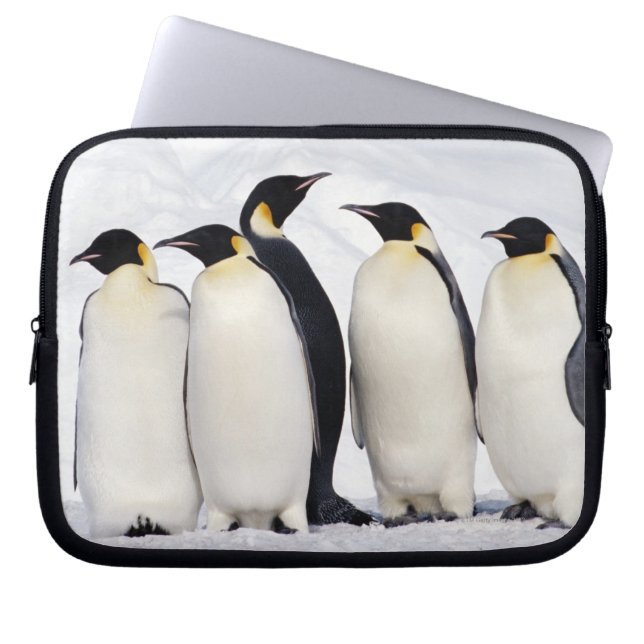 Funda Para Portátil Emperador Pingüino (Frente)
