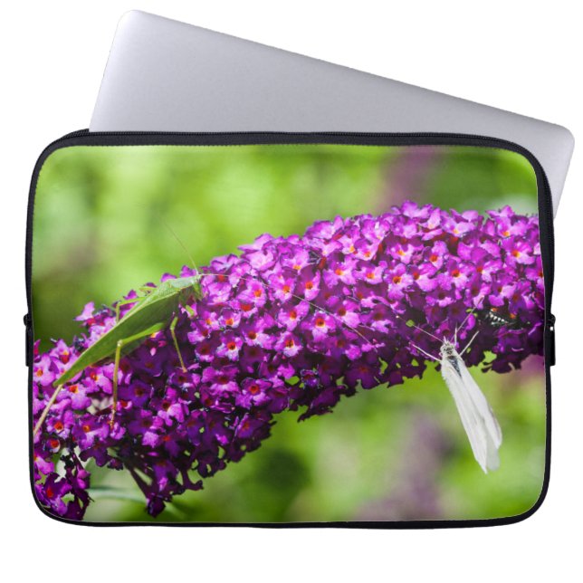 Funda Para Portátil energía katydid (Frente)