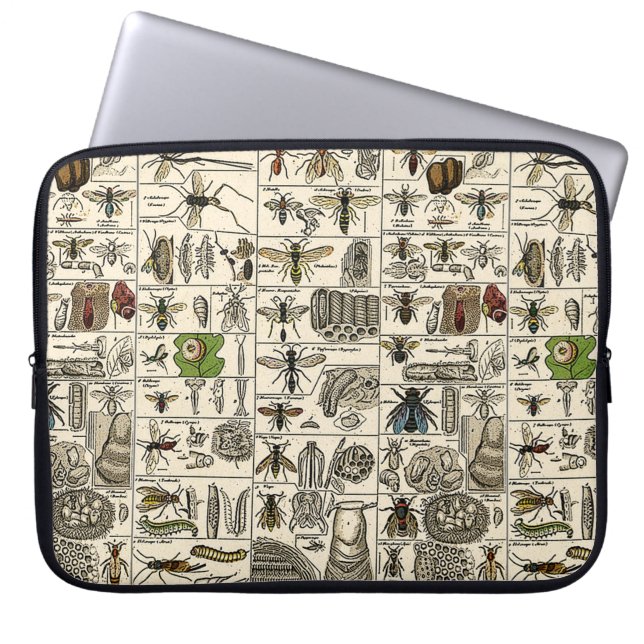 Funda Para Portátil Entomología del vintage (Frente)