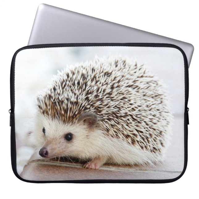 Funda Para Portátil Erizo lindo del bebé (Frente)