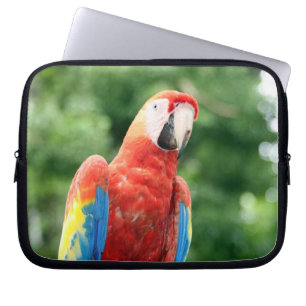 Funda Para Portátil escarlata