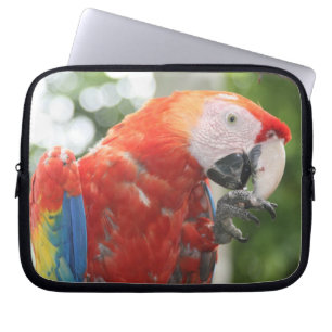Funda Para Portátil escarlata de macao