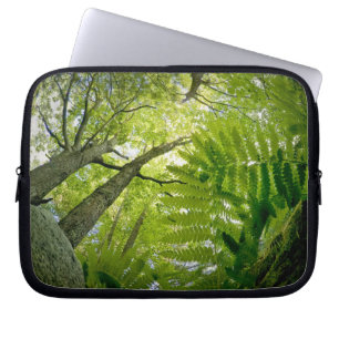 Funda Para Portátil Escena forestal en el Parque Nacional Acadia, Main