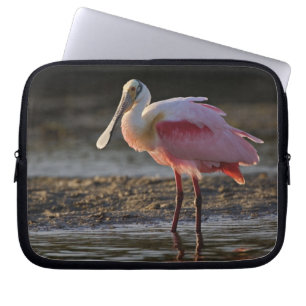 Funda Para Portátil Espátula rosada, Ajaia ajaja, Ding Darling