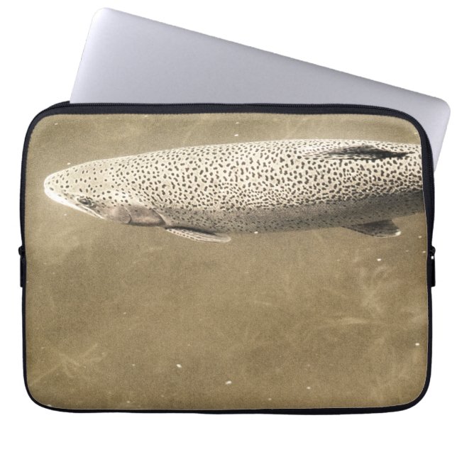 Funda Para Portátil Espectros (Frente)