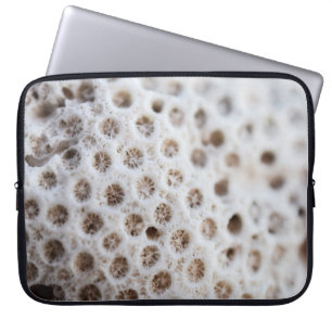 Funda Para Portátil Espuma