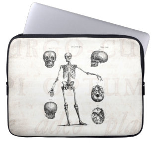 Funda Para Portátil Esqueletos antiguos esqueléticos de la anatomía de
