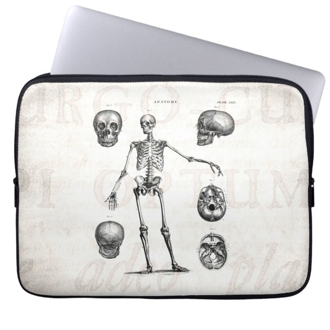Funda Para Portátil Esqueletos antiguos esqueléticos de la anatomía de (Frente)