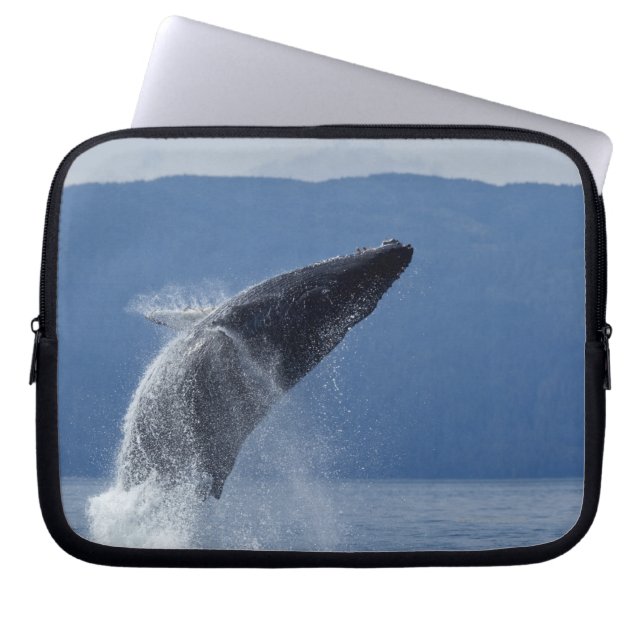 Funda Para Portátil Estados Unidos, Alaska, Angola, ballena jorobada ( (Frente)