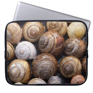 Funda Para Portátil Estanques de caracol