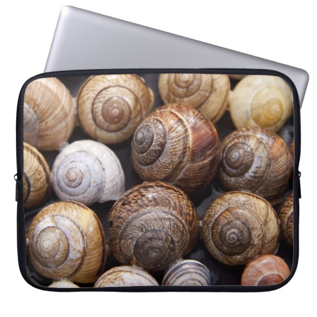 Funda Para Portátil Estanques de caracol (Frente)
