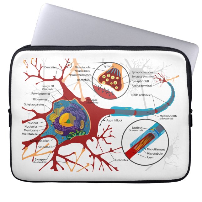 Funda Para Portátil Estilo del nervio de las neuronas (Frente)