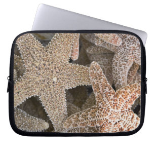Funda Para Portátil estrella de todas partes