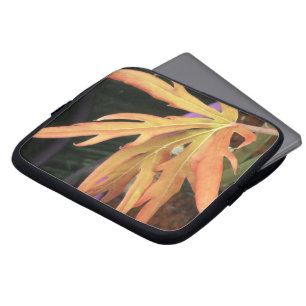 Funda Para Portátil Estudio de la hoja 2