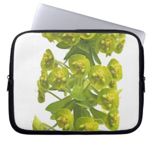 Funda Para Portátil Euforbio