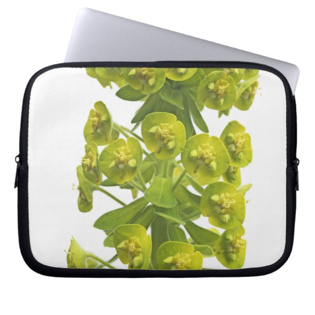 Funda Para Portátil Euforbio (Frente)