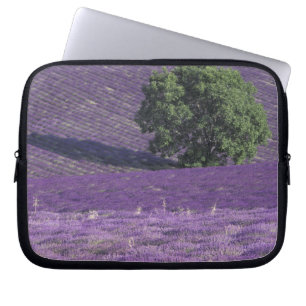 Funda Para Portátil Europa, Francia, Provenza, Sault, Campos de lavand