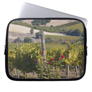 Funda Para Portátil Europa, Italia, Umbría, cerca de Montefalco, Viñed