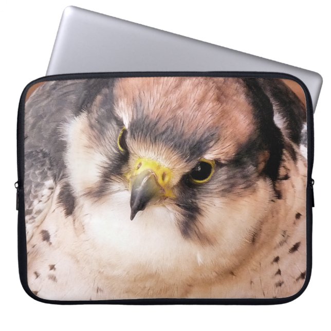 FUNDA PARA PORTÁTIL FALCON (Frente)