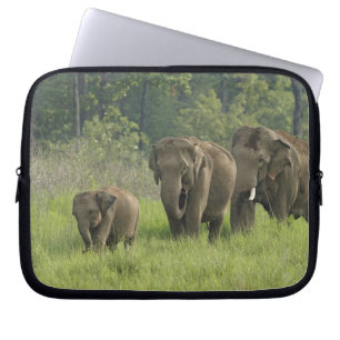 Funda Para Portátil Familia de elefantes indios