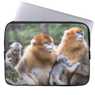 Funda Para Portátil Familia Mona de nariz desnuda dorada