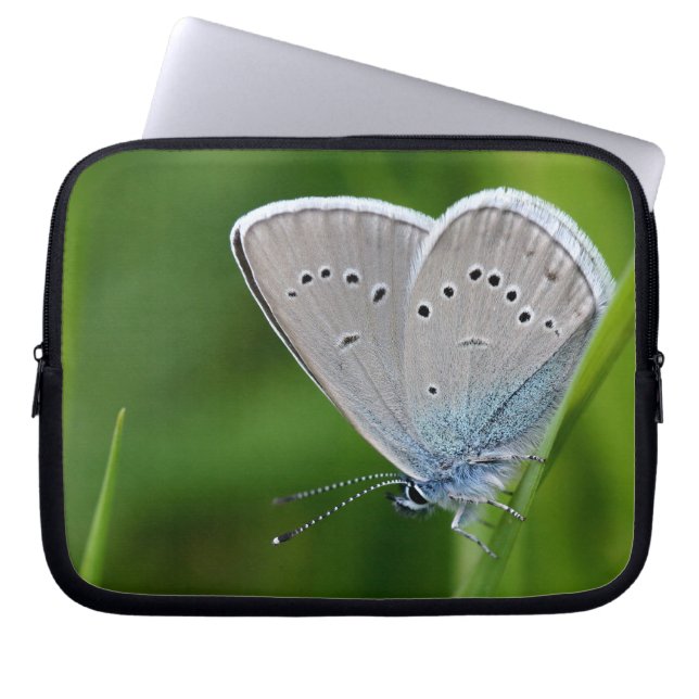 Funda Para Portátil Farfalla Laptop Sleeve (Frente)