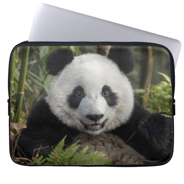 Funda Para Portátil Feliz panda joven, China (Frente)