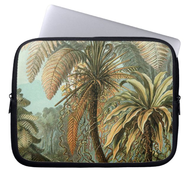 Funda Para Portátil Ferns Palm Tree Antique Botanica Ferns Art (Frente)