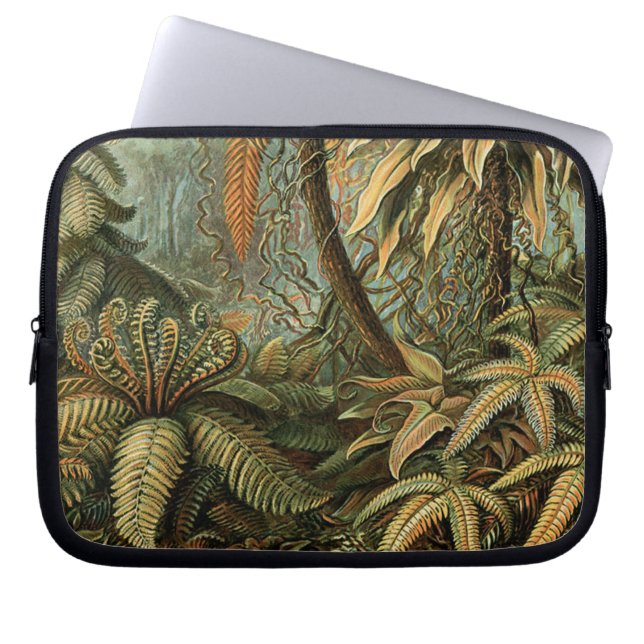 Funda Para Portátil Ferns Palm Tree Antique Botanica Ferns Art (Frente)
