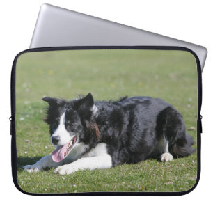Funda Para Portátil Fijación del border collie