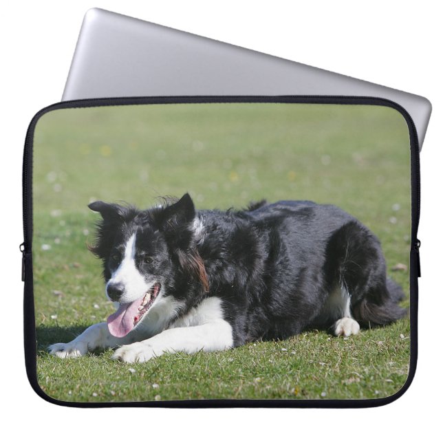 Funda Para Portátil Fijación del border collie (Frente)