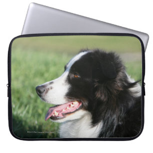 Funda Para Portátil Fijación del perrito del border collie