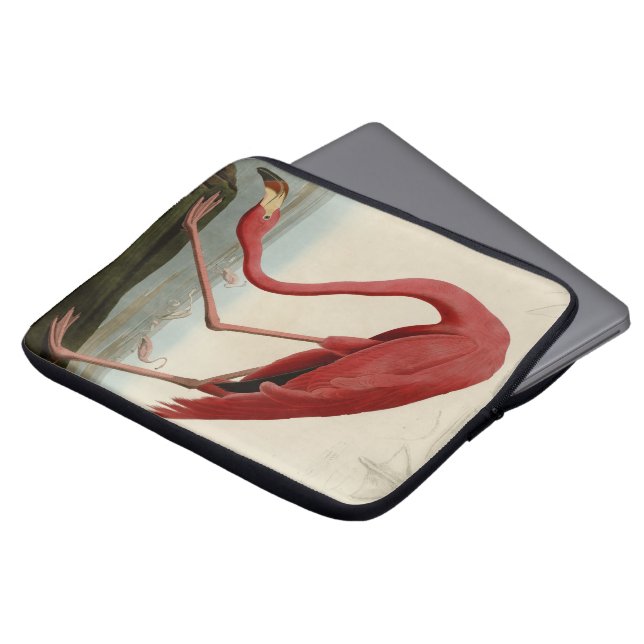 Funda Para Portátil Flamenco americano (Superior anverso)