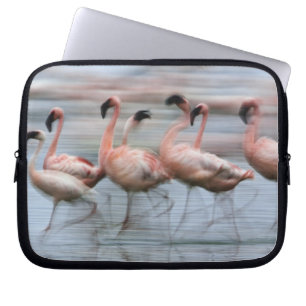 Funda Para Portátil Flamencos menores en movimiento, Phoenicopterus