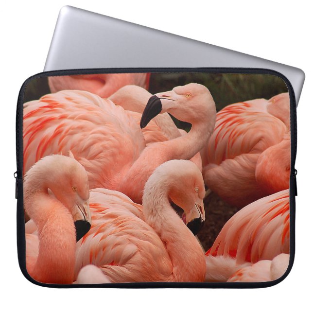 Funda Para Portátil Flamencos rosados (Frente)