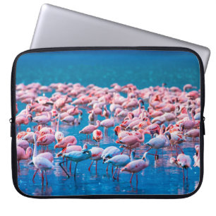 Funda Para Portátil Flamingos africanos. Grupo de flamencos de pie en 
