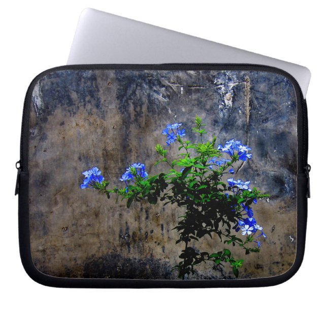 Funda Para Portátil Flor azul de Plumbago (Frente)