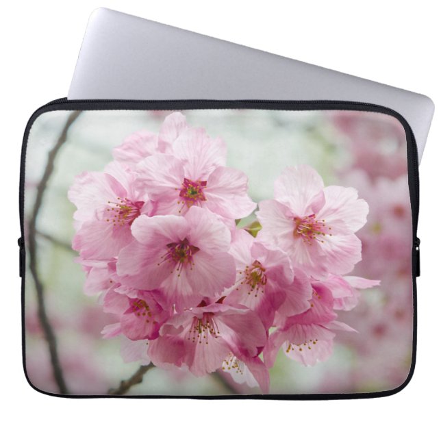 Funda Para Portátil Flor de cerezo, fotografía de flor rosa (Frente)