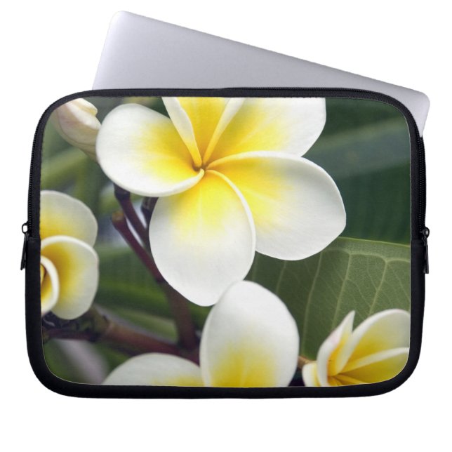 Funda Para Portátil flor de frangipani Islas Cook (Frente)