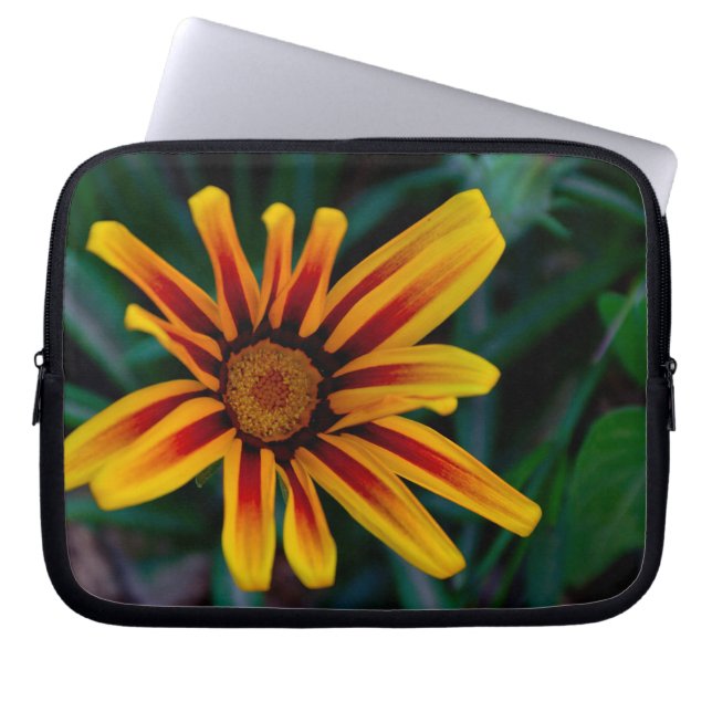 Funda Para Portátil Flor de Gazania (Frente)