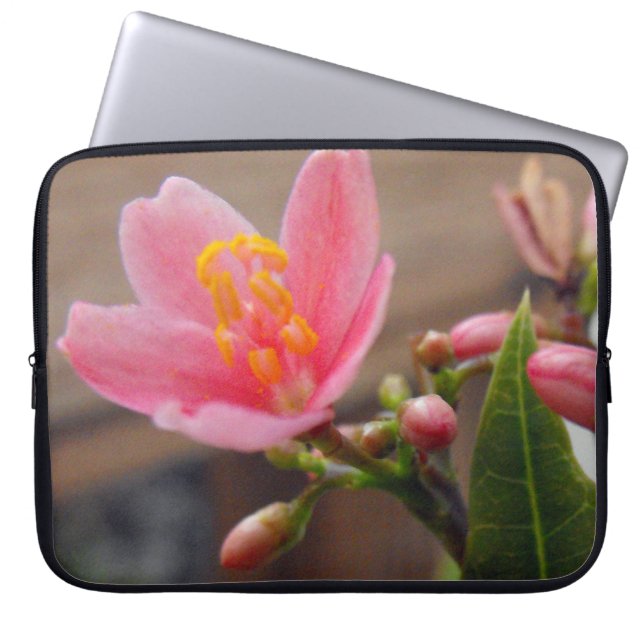 Funda Para Portátil Flor de Jatrofa Rosa Suave (Frente)