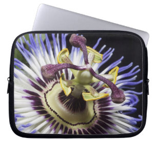 Funda Para Portátil Flor de la pasión en primer plano (MR)