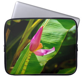 Funda Para Portátil Flor de plátano, jardines Limahuli, traje húmedo K