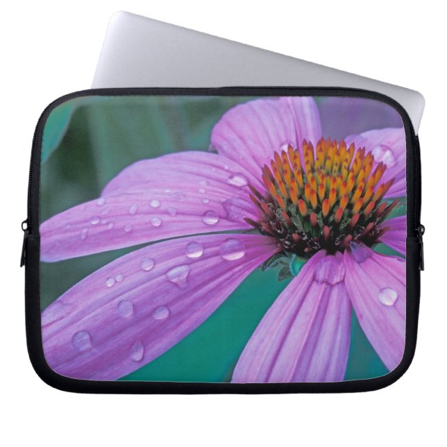 Funda Para Portátil Flor morada de cono con gotas de agua (Frente)