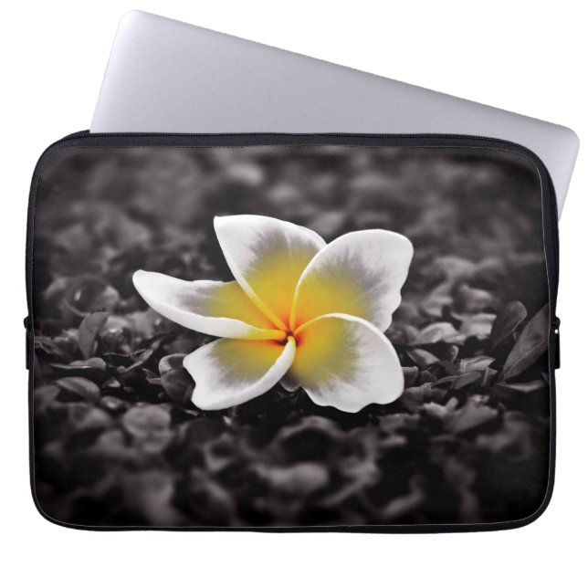 Funda Para Portátil Flor Plumeria Frangipani Hawaii (Frente)