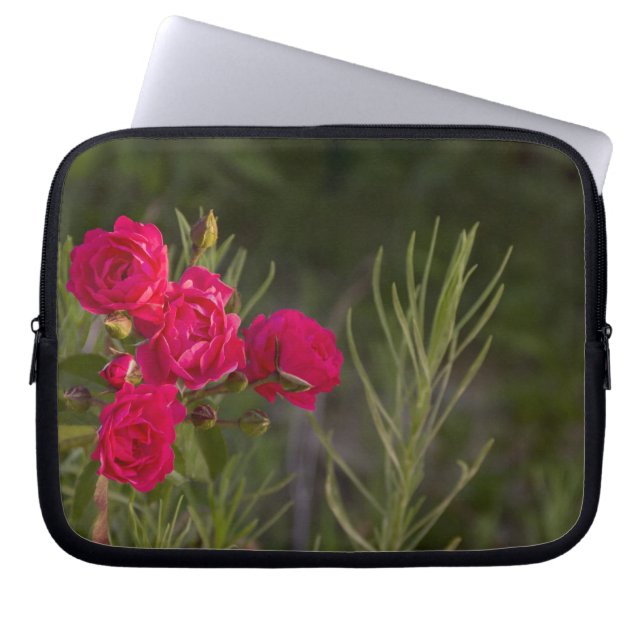Funda Para Portátil Flor rosa (Frente)